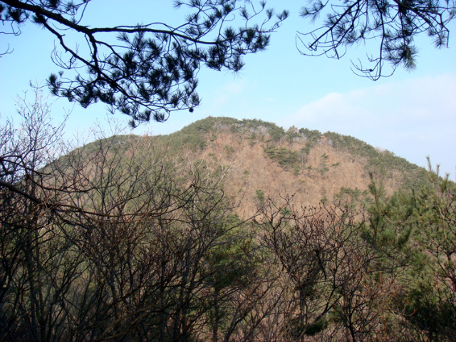 비룡산 정상 이미지