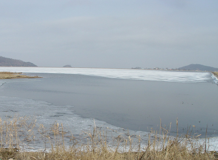 47c818536a676&filename=2009-01-02-28-058