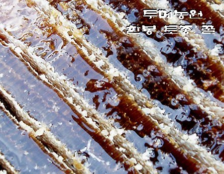 지리산 산골농원 이미지