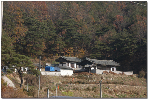 경광 이미지