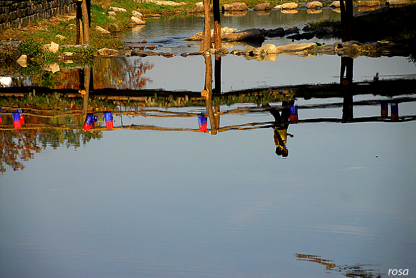 471b286eb6c82&filename=DSC_8752wo.gif