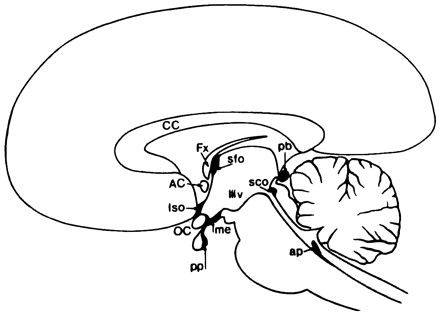 ȭ̷(MSG)  ׸ ġ, ̸