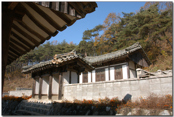 경광 이미지