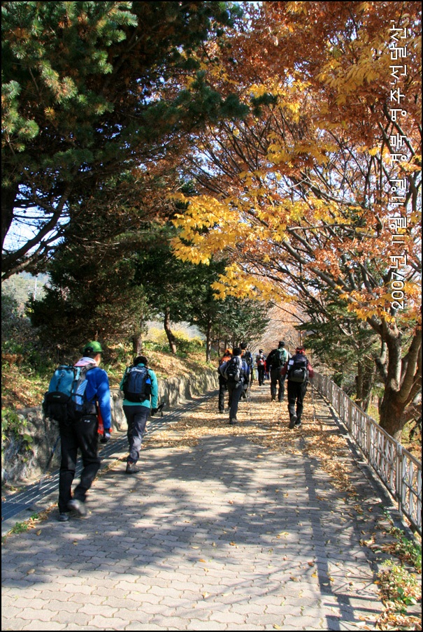 휴게소오전리 이미지