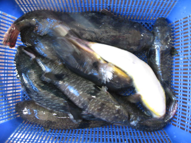 해미식당 이미지