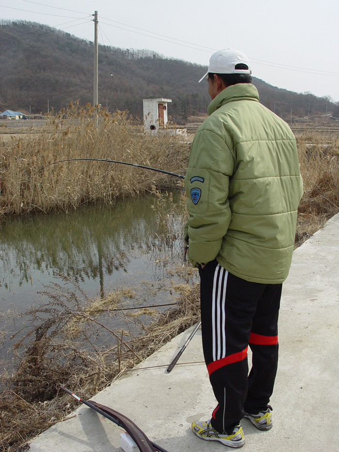 47c8185c249bd&filename=2009-01-02-28-064