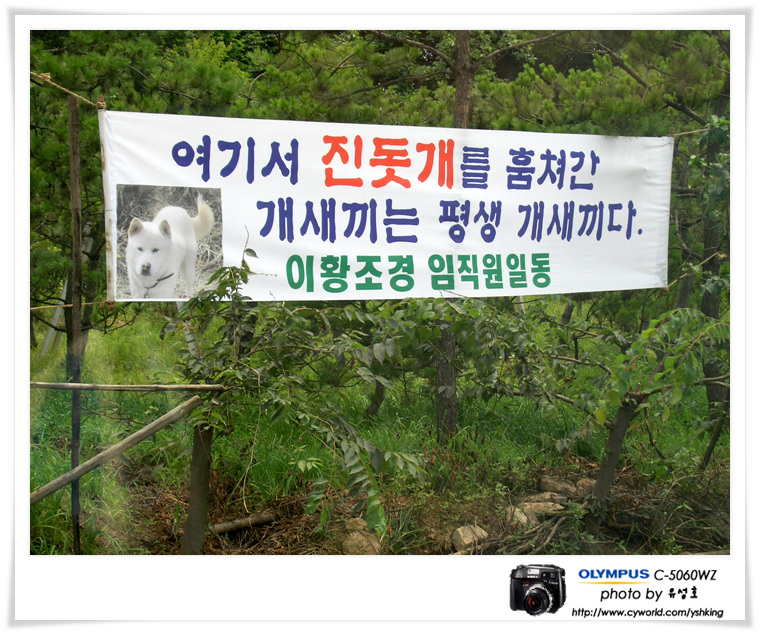 광고세상 이미지