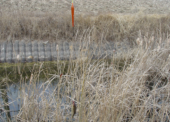 47c818af3d658&filename=2009-01-02-28-076