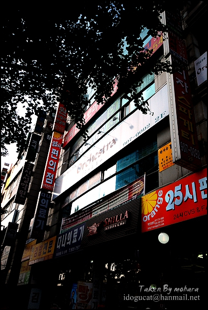 선돈까스 이미지