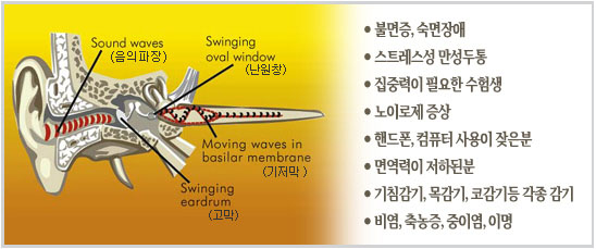 이어캔들 효능과 특징