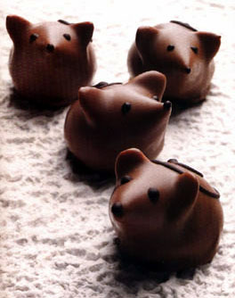 http://cfs7.blog.daum.net/image/36/blog/2007/09/07/21/49/46e148cd24407&filename=%EB%8F%99%EB%AC%BC%EC%B4%88%EC%BD%9C%EB%A6%BF.jpg