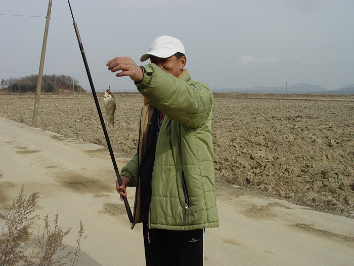 47c818b76e06b&filename=2009-01-02-28-080