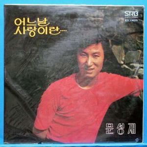 부산갈메기 이미지