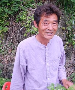 태평 이미지