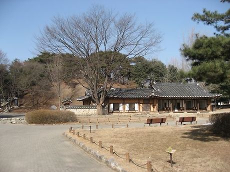삼일공 이미지