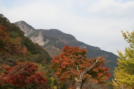 백양사 이미지
