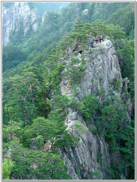 동산장 이미지