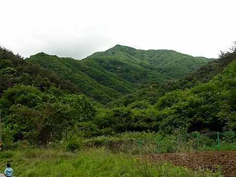 치악산 전경 이미지