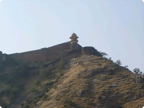 아메르 이미지