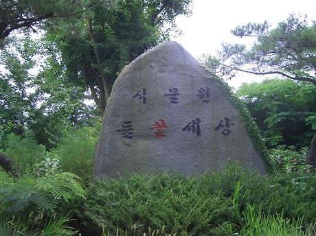 들꽃세상 이미지