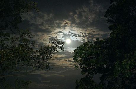 산들바람 이미지