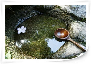 하늘나는작은새 이미지
