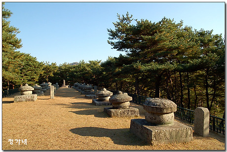 금성석물 이미지