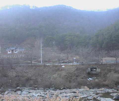 천년가요 이미지