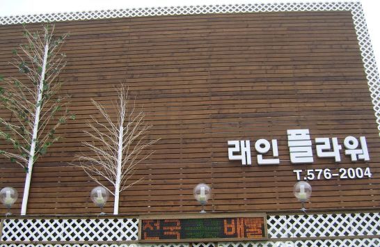래인 이미지